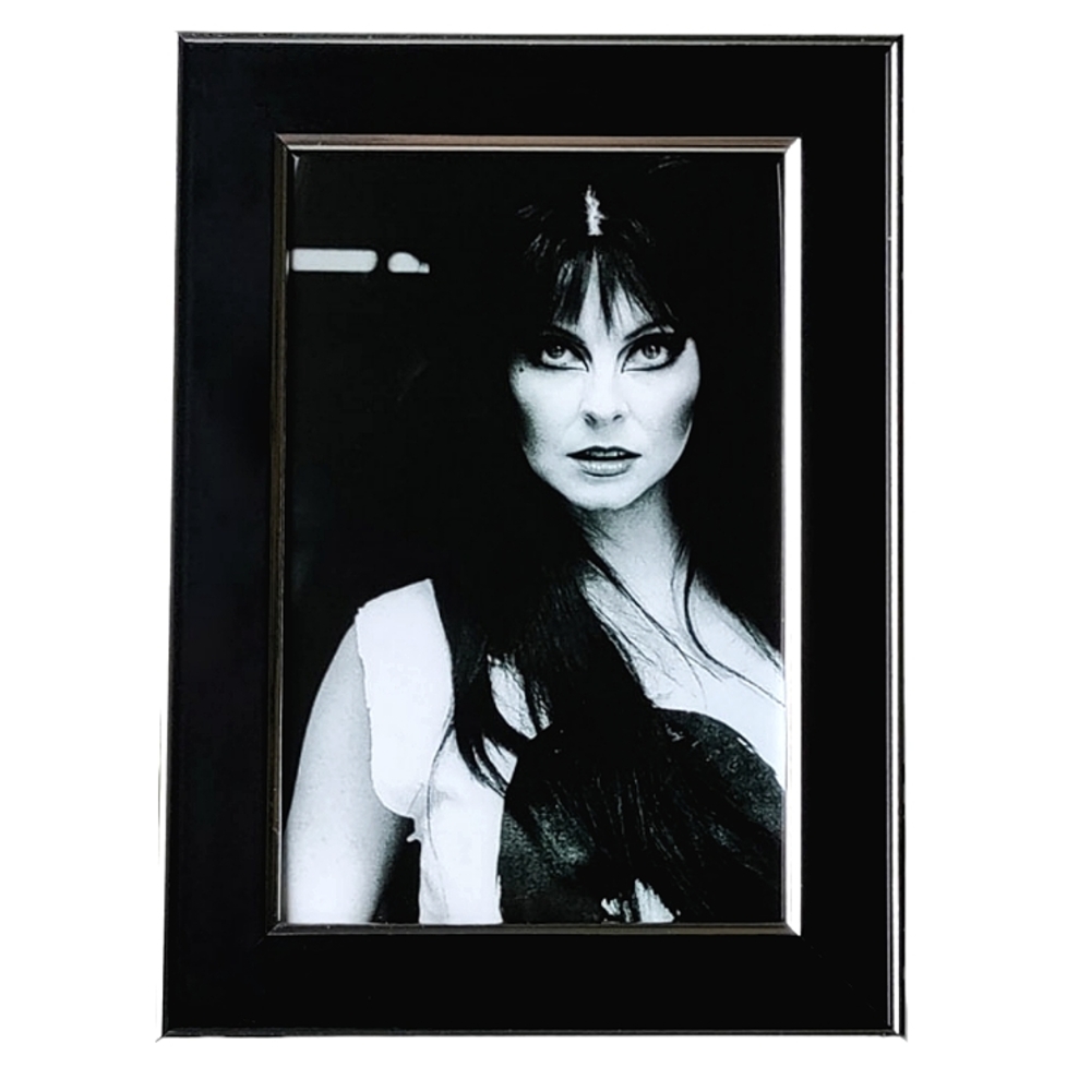 Elvira B & W Horror Queen Cult Classic Gothic Punk Rock 80s 90s beautful Goth